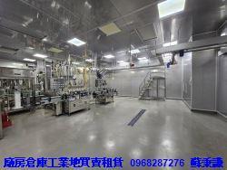 桃園八德廠房-2