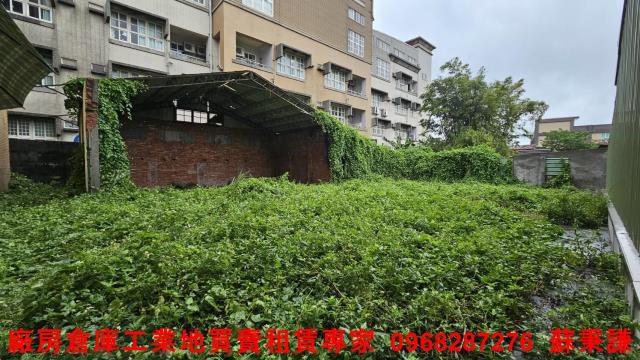 桃園建地-0