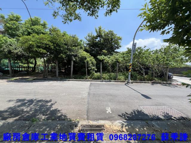 桃園建地-1
